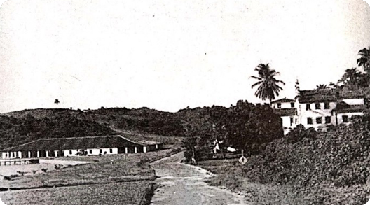 Ouro Negro Descoberto